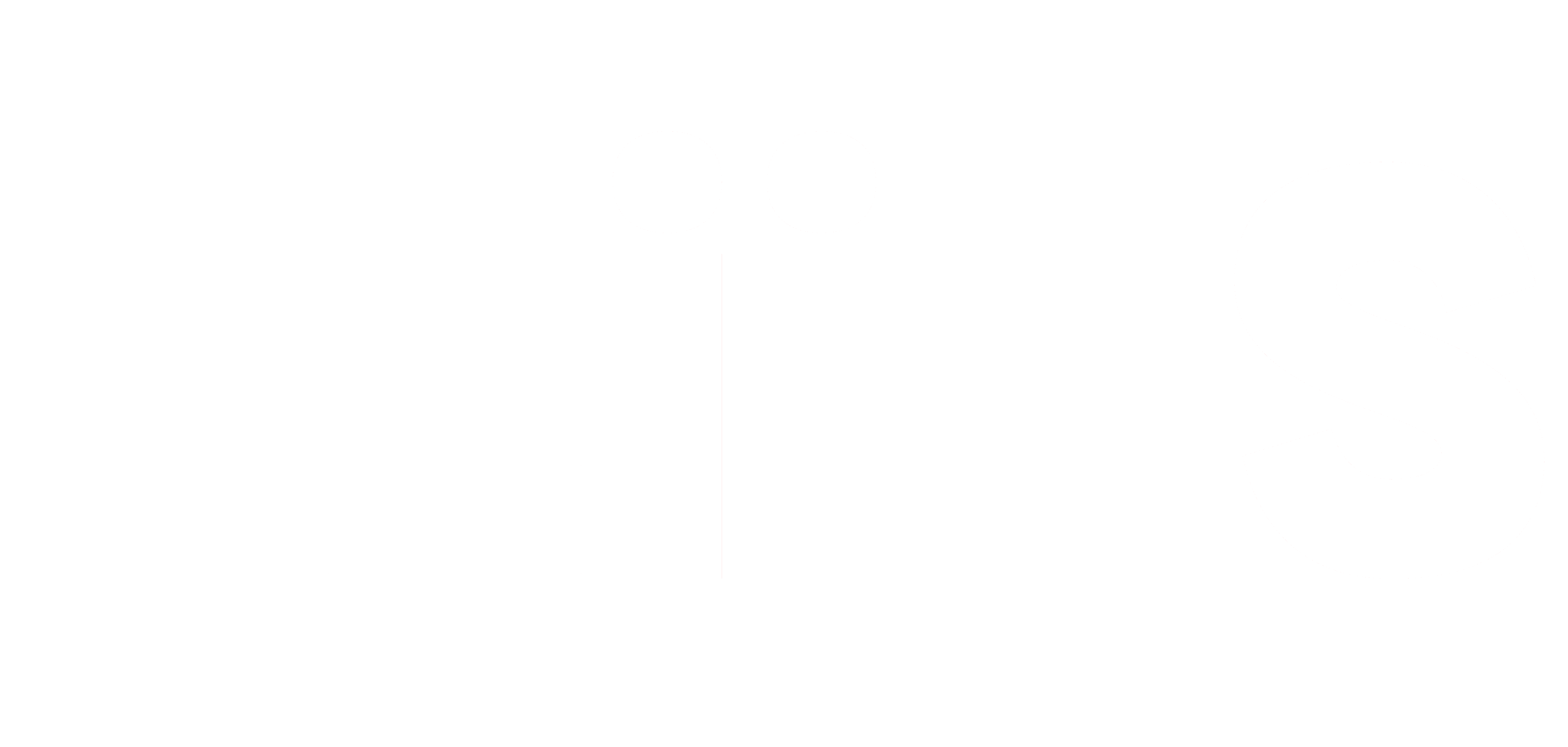 FLiiTS
